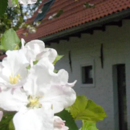 호텔 La Ferme Blanche, The Originals Relais